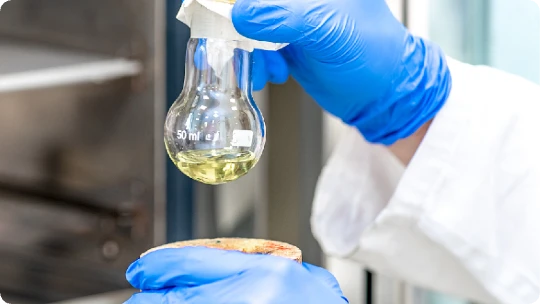researcher